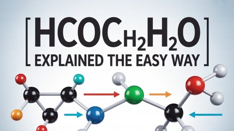 Hcooch CH2 H2O | Explained the Easy Way