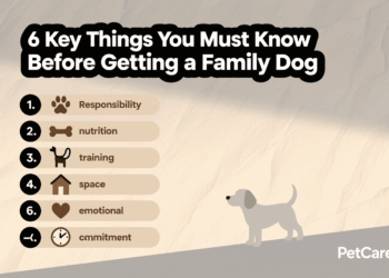 6 Key Things You Must Know Before Getting a Family Dog