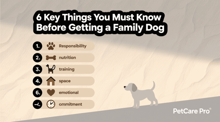 6 Key Things You Must Know Before Getting a Family Dog
