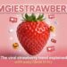 Omgiestrawberry