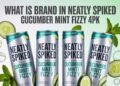 What Is Brand In Neatly Spiked Cucumber Mint Fizzy 4pk