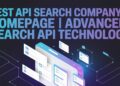 Best API Search Company's Homepage