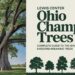 Lewis Center Ohio Champion Trees