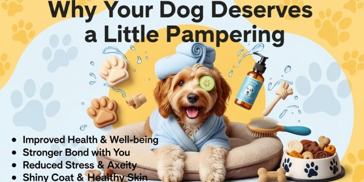 Why Your Dog Deserves a Little Pampering