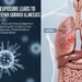How Asbestos Exposure Leads to Mesothelioma and Other Serious Illnesses