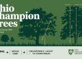 Ohio Champion Trees Delaware County USD Lewis Center