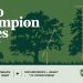Ohio Champion Trees Delaware County USD Lewis Center